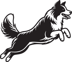 Border Collie Dog Vector – Silhouette 