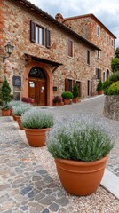 Fototapeta premium Vibrant clay pots and vases arranged on a wooden shelf in a serene backyard garden with greenery and a rustic wood fence