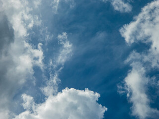 Expansive Blue Sky Framed by Fluffy White Clouds
