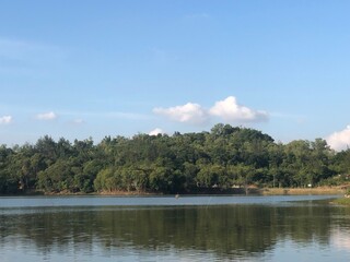 lake in the forest