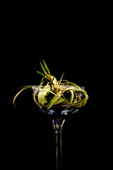 Foliage Wrapped Into A Cocktail Glass