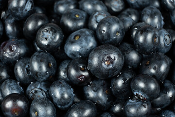 Fresh blueberries in drops of water close-up, berry background