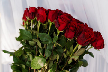 Luxurious Red Roses Bouquet - Close-up of Vibrant Velvet Flowers. Romantic Gift Idea with Deep...