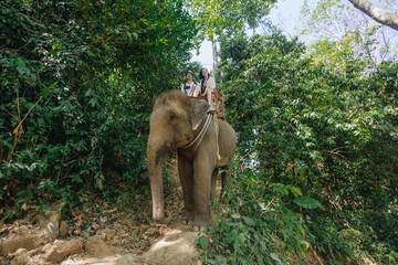 Two people enjoy a thrilling ride on an elephant among dense greenery, surrounded by trees and...