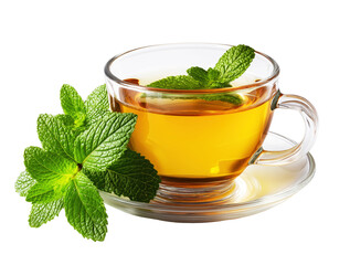 Glass cup of hot tea with fresh mint leaves on transparent background