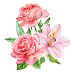 Pink roses and lily watercolor floral bouquet romantic handpainted illustration for wedding invitations and feminine designs