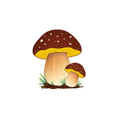 Mushroom is sitting on the ground next to another mushroom