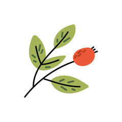 Branch with green leaves and rowan