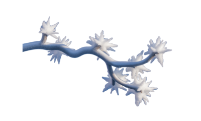 Winter's Embrace A Delicate Branch Adorned with Sparkling Frost Crystals in Serene Isolation