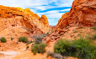 Valley of Fire State Park wide angle panorama. Public nature preservation area south of Overton, Nevada (USA) in Mojave Desert, near Las Vegas. Scenic road in colorful red sandstone scenery and plants