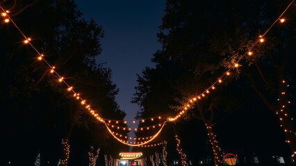 Night scene of trees decorated with string lights creating a pathway