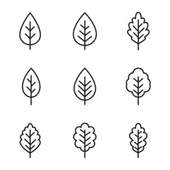 Fototapeta premium Simple outline illustrations of various leaf designs for nature and botanical themed projects