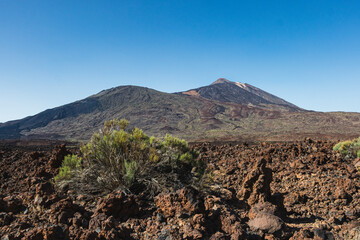 View of Teide mountain from Boca Tauce in Tenerife island