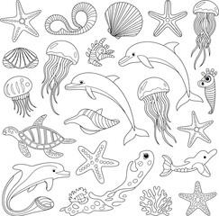 Obraz premium Collection of diverse seashell outlines isolated on transparent background isolated on white background