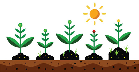 A illustrations depicting the stages of plant growth, from seed to fully bloomed flower, often with elements of human interaction like watering can