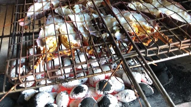Crayfish Or Spiny Lobster Being Cooked On A Braai Or Barbecue .Fresh crayfish spatchcocked and grilled over open flames, basted with rich garlic butter for a smoky, golden finish