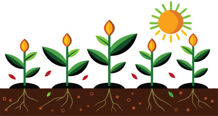 A illustrations depicting the stages of plant growth, from seed to fully bloomed flower, often with elements of human interaction like watering can