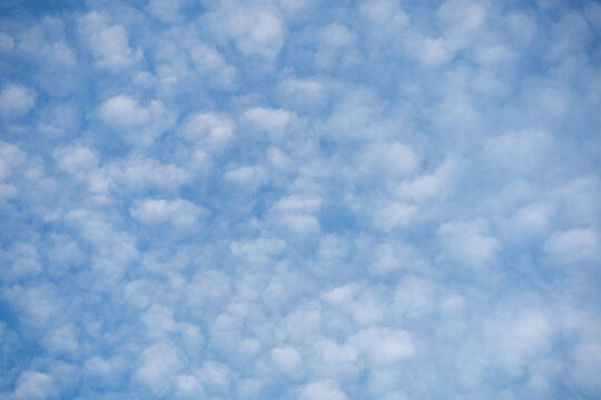Soft fluffy clouds scattered across a vibrant blue sky create sense of tranquility and openness. Cloud pattern resembles cotton balls lightly placed across the expanse, evoking peaceful airy feeling.