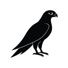Fototapeta premium A falcon bird silhouette vector illustration.