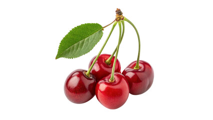 Obraz premium Ripe Cherries on Stems with Green Leaf Isolated on Transparent Background