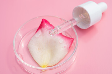 Cosmetic pipette in petri dish. Trendy pink background. Concept of organic and beauty cosmetics.