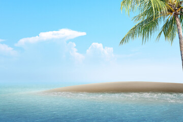 Palm tree on a beautiful sandy beach on the island with an ocean view and a blue sky. Natural background. Summer concept