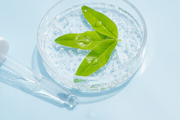 Transparent cosmetic face or body gel moisturizer drops on blue background in petri dish. Hygiene,...