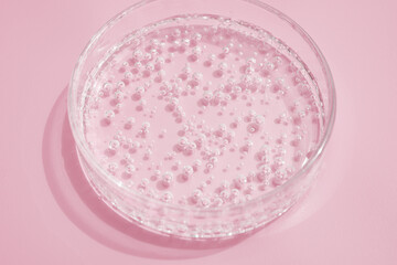 Transparent drops of cosmetic product serum gel in petri dish. Liquid texture with bubbles on pink...