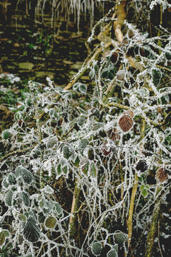 Winter landscape background
