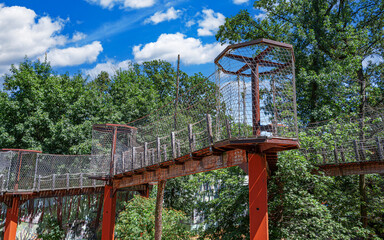 Elevated wooden canopy walkway with rope netting and supporting beams surrounded by lush green...