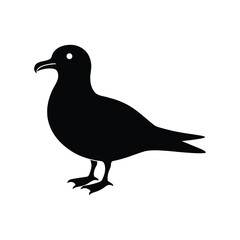 Fototapeta premium A petrel bird silhouette vector illustration.
