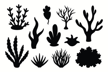 Aquatic Plant and Coral Silhouette Bundle &ndash; 10 Black Underwater Elements in Unique Curvy Shapes.