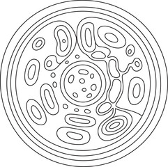 Abstract Microscopic Biological Cell Structure Vector Illustration. Microscopic Cell Art, Abstract Biology Circle, Petri Dish Design, Organic Cell Structure, Scientific Microorganism Vector