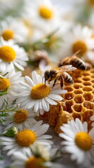 Bees Pollinating Daisies Beside Honeycomb – Close-Up Scene Celebrating Natural Harmony, Organic Sweetness, and Floral Sustainability