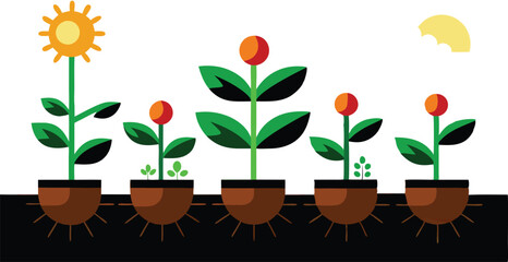 An illustration depicting the stages of plant growth, from seedling to mature plant, often with elements like roots, leaves, and flowers