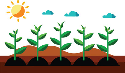 An illustration depicting the stages of plant growth, from seedling to mature plant, often with elements like roots, leaves, and flowers
