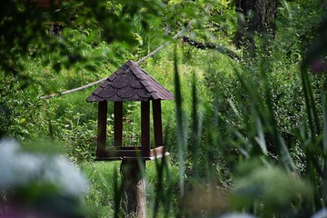 the photo shows a bird feeder or squirrel in the park