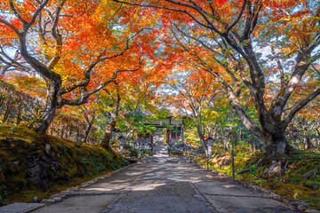 Scenic view of Jojakkoji Temple with beautiful foliage in autumn in Kyoto, Japan
