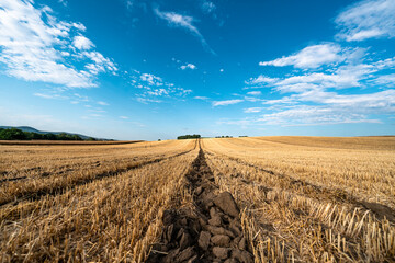 Harvested field with plowed furrow under blue sky and clouds