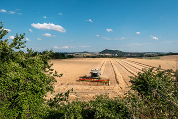 Combine harvester working in wheat field on sunny day