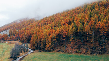 Aerial view of colorful mountain forest in autumn, flowing river and misty slopes.