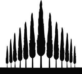 Cypress Tree Silhouette Set Tall and Narrow on Transparent Background