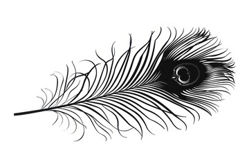 Obraz premium Peacock feather flying black white art.