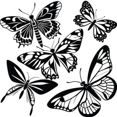 Obraz premium Vibrant and Diverse Collection of Isolated Multicolored Butterflies