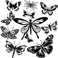 Vibrant Collection of Isolated Multihued Butterflies in Vector Format