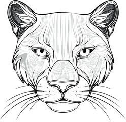 Elegant Cougar Head Vector - Black and White Line Drawing