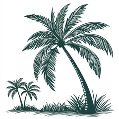 palm tree vector illustration