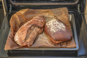 zwei weizenbrote auf einem backblech vor dem backofen