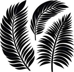 Obraz premium leaves silhouette