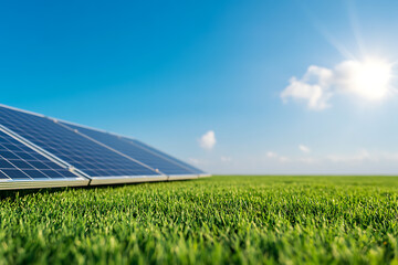 Fototapeta premium Solar panels in a field generating clean energy. Eco-friendly power source with a bright future.